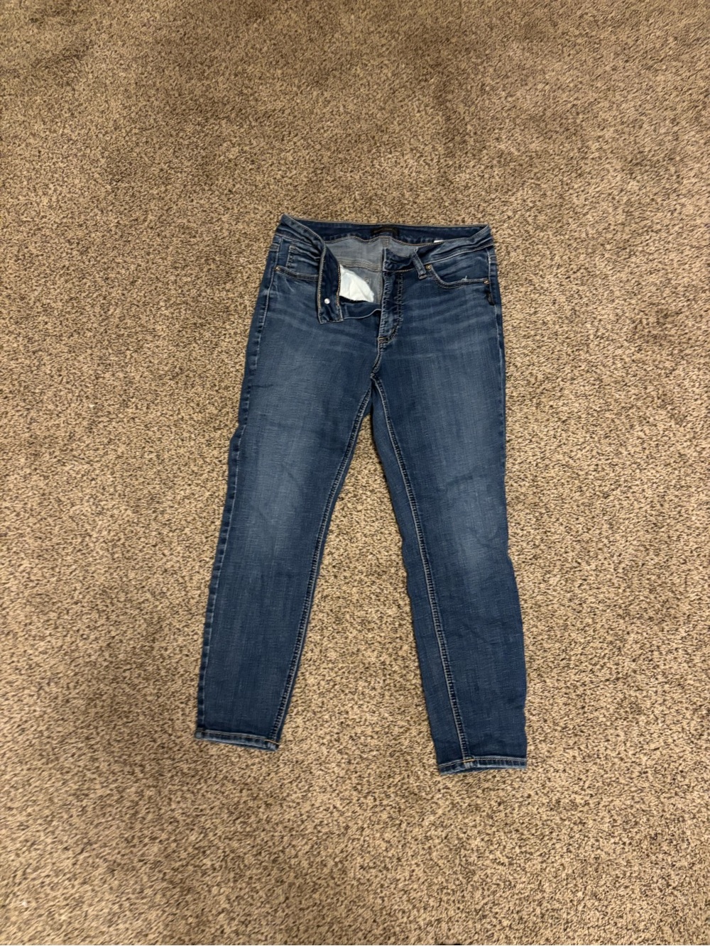 Silver Jeans Women's Dark Wash Skinny Jeans